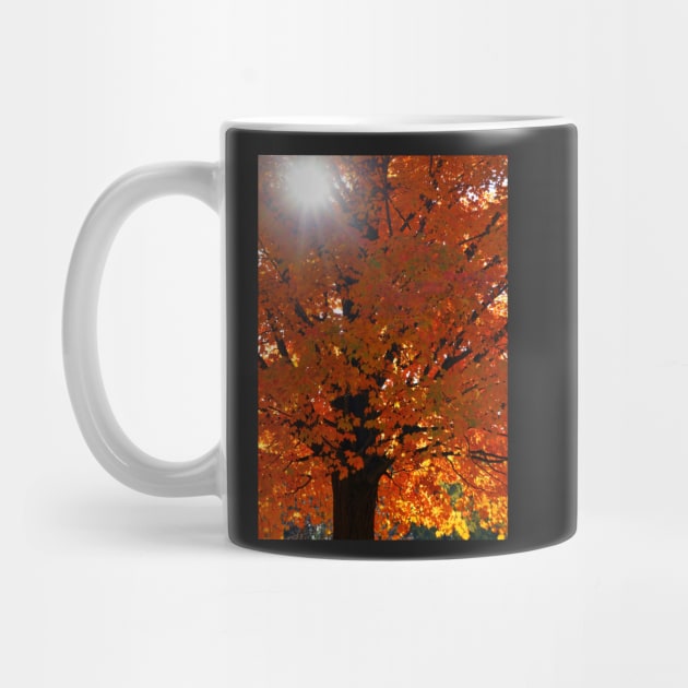 Vertical Autumn Orange Maple Tree by 1Redbublppasswo